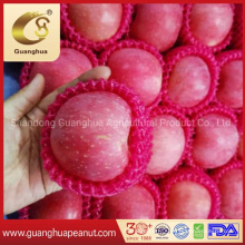 Wholesale Red FUJI Apple with High Sugar